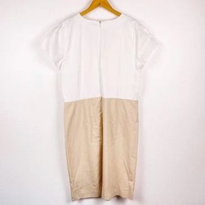 NWT Ann Taylor Two Tone Button Front V Neck Sheath Dress White Cream SZ 16 Tall